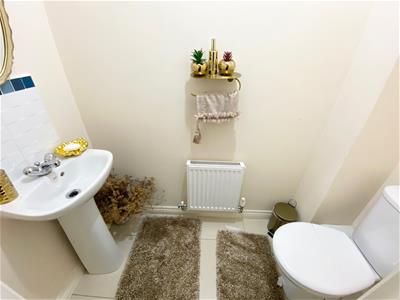 Picture 7